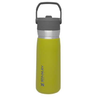 The Go Flip Straw Water Bottle | 22 OZ