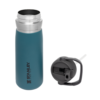 The Go Flip Straw Water Bottle | 22 OZ