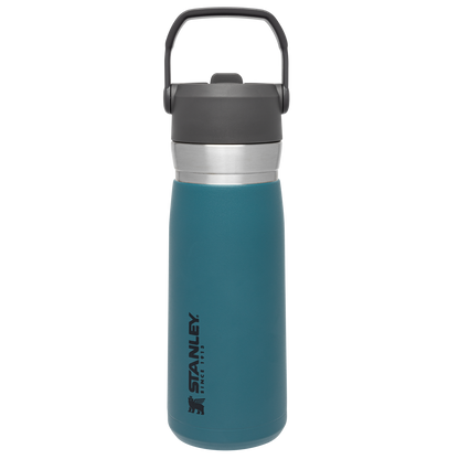 The Go Flip Straw Water Bottle | 22 OZ