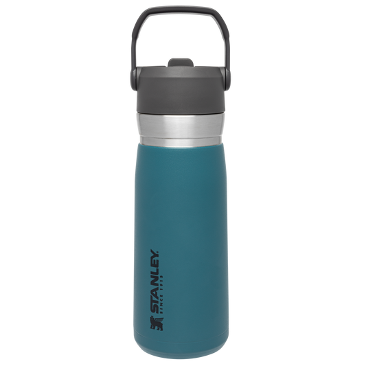 The Go Flip Straw Water Bottle | 22 OZ