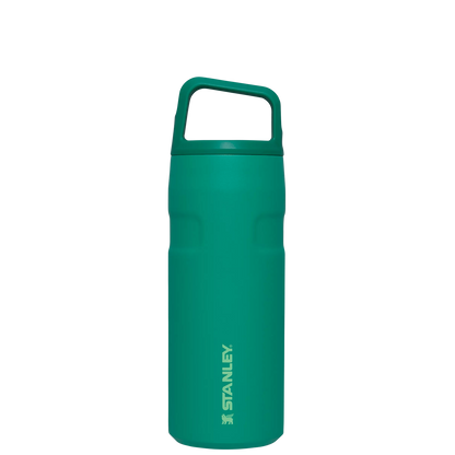 IceFlow™ Bottle with Cap and Carry+ Lid | 16 OZ